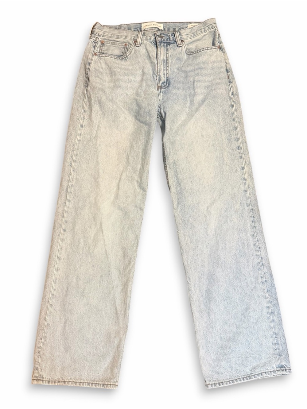Aritzia Denim Forum The '90s Iggy Lo-Rise Baggy Jean Light Wash
